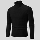 Christoph | Stilvoller Rollkragenpullover