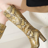 Eve | Goldene Stiefel mit Schlangenleder-Optik – Ein eleganter Hingucker